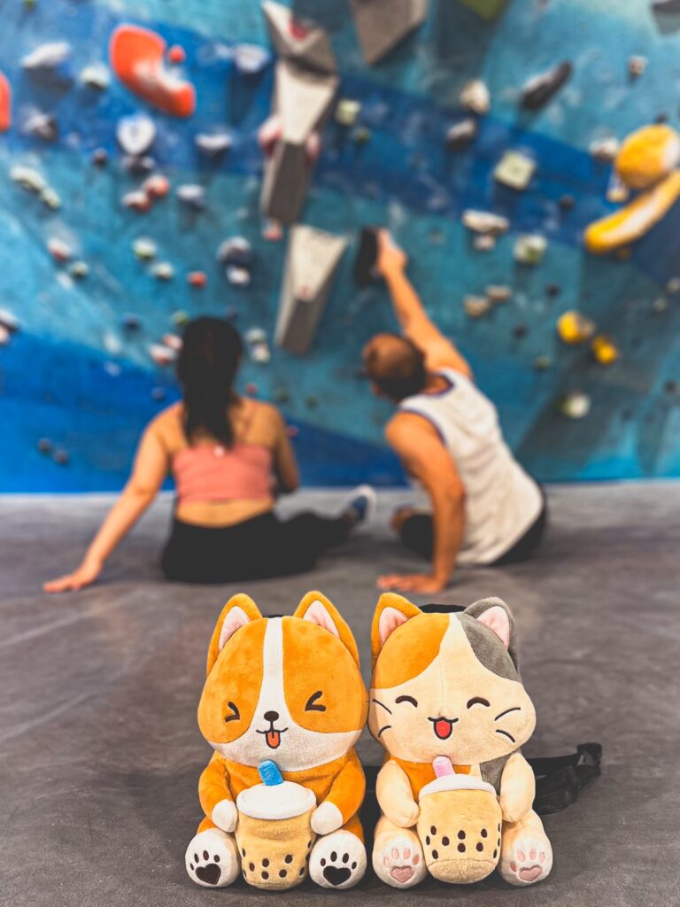 Two Climbing Buddy plush bags, shaped like a corgi and a calico cat holding boba cups, sitting in front of a rock climbing wall with two climbers in the background